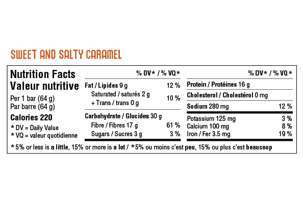 Iron Vegan - Sprouted Protein Bar, Sweet & Salty Caramel, 64 g