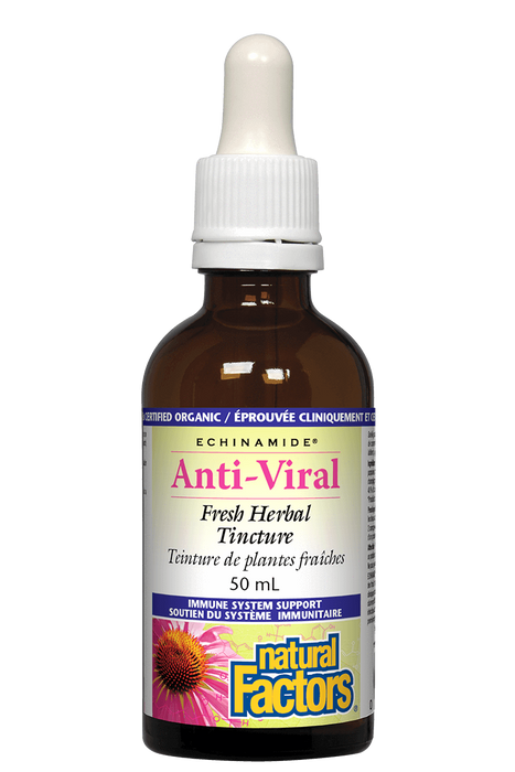 Natural Factors - Echinamide Anti-Viral, 50 ml