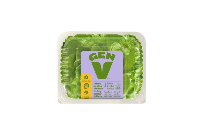 Gen V - Lettuce - Living Butter, Each