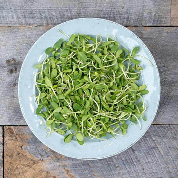 Cookstown Greens - Organic Sunflower Microgreens, 100 g