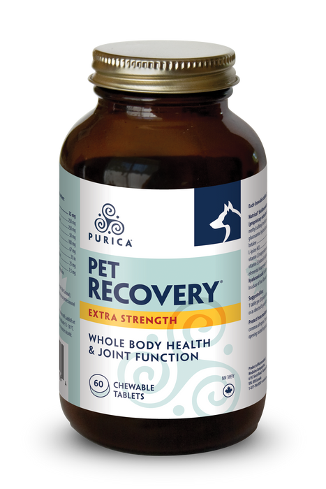 Purica - Pet Recovery Extra Strength  - 60 chews