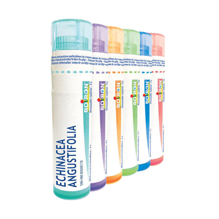 Boiron - Echinacea Angus 30ch, EACH
