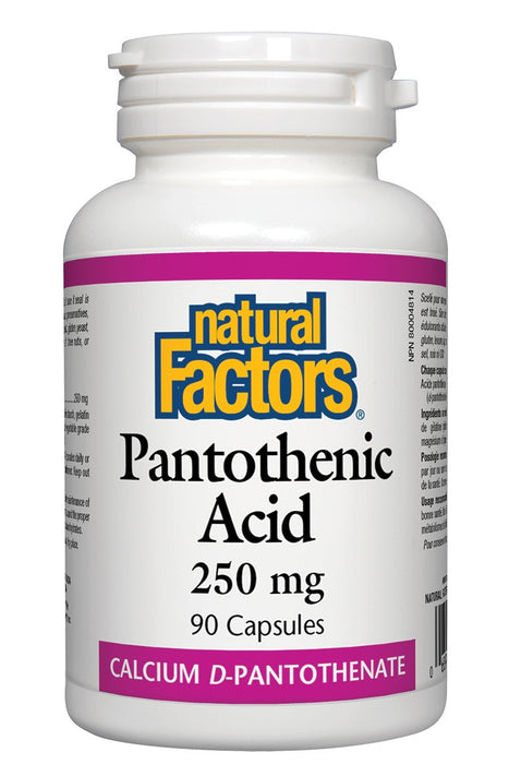 Natural Factors - Pantothenic Acid - 250mg, 90 capsules