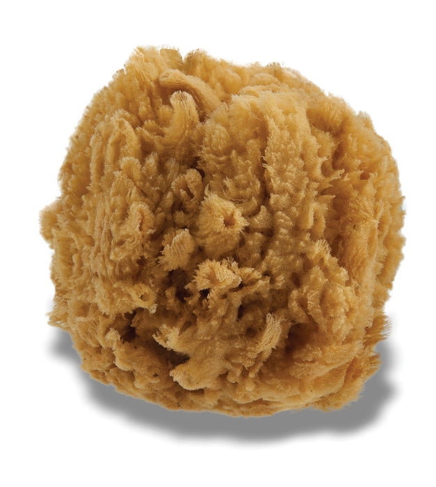 Urban Spa - The All Natural Sea Sponge