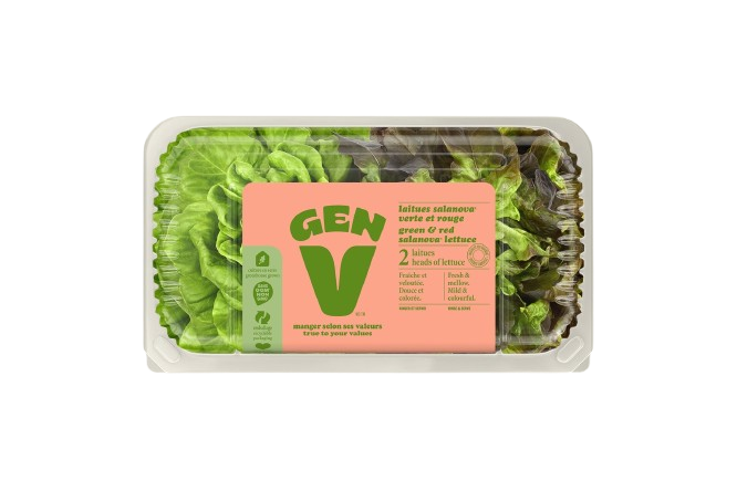 Gen V - Lettuce - Green & Red, 2 Count