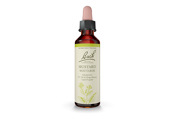 Bach Original Flower Remedies - Mustard, 20ml