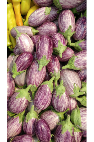 West Coast Seeds - Organic Piccolo F1, 10 Seeds