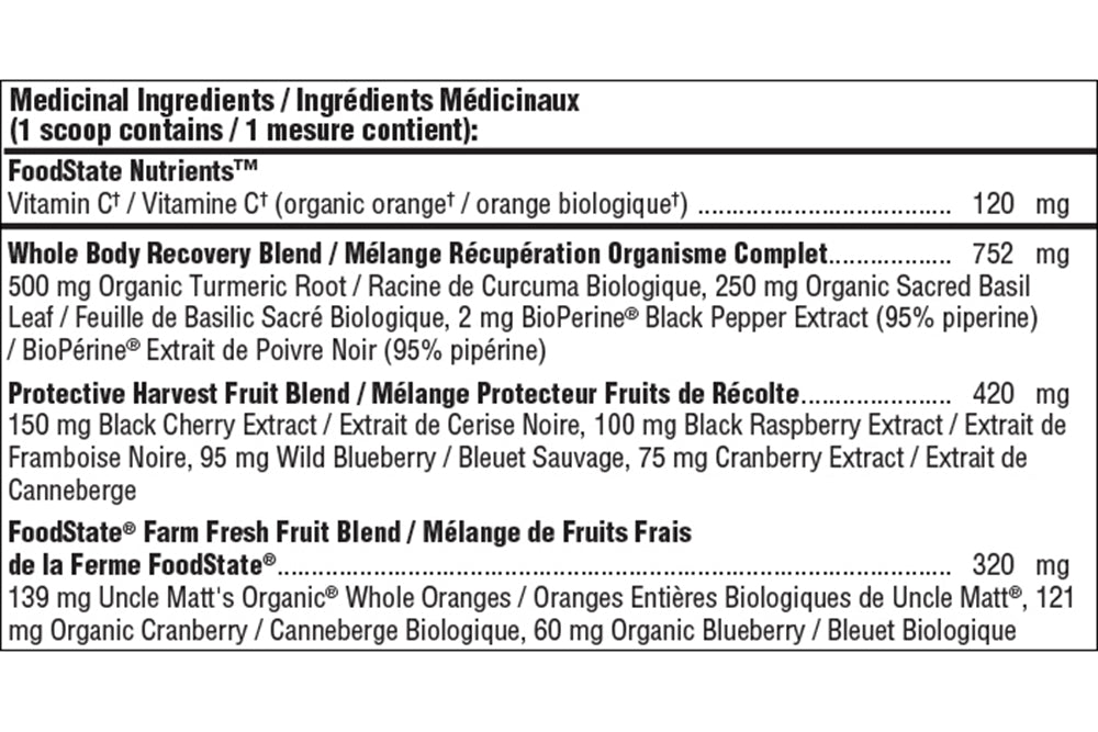 Mega Food - Daily Turmeric, 59.1g