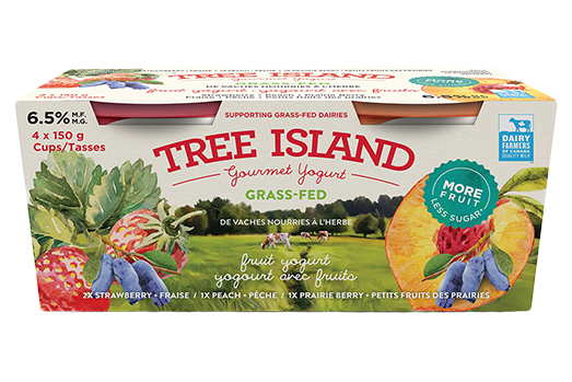 Tree Island Yogurt - Yogurt Variety Pack - Fruit, 4x150 g