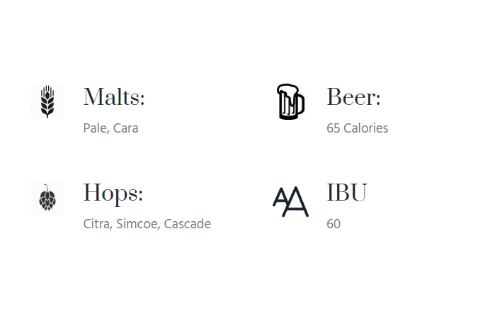 Sober Carpenter - Non-alcoholic Beer, India Pale Ale, 473 mL