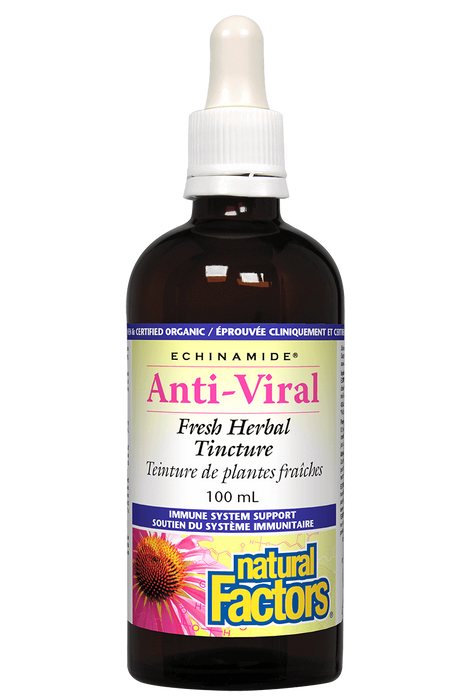 Natural Factors - Echinamide Anti-Viral, 100ml