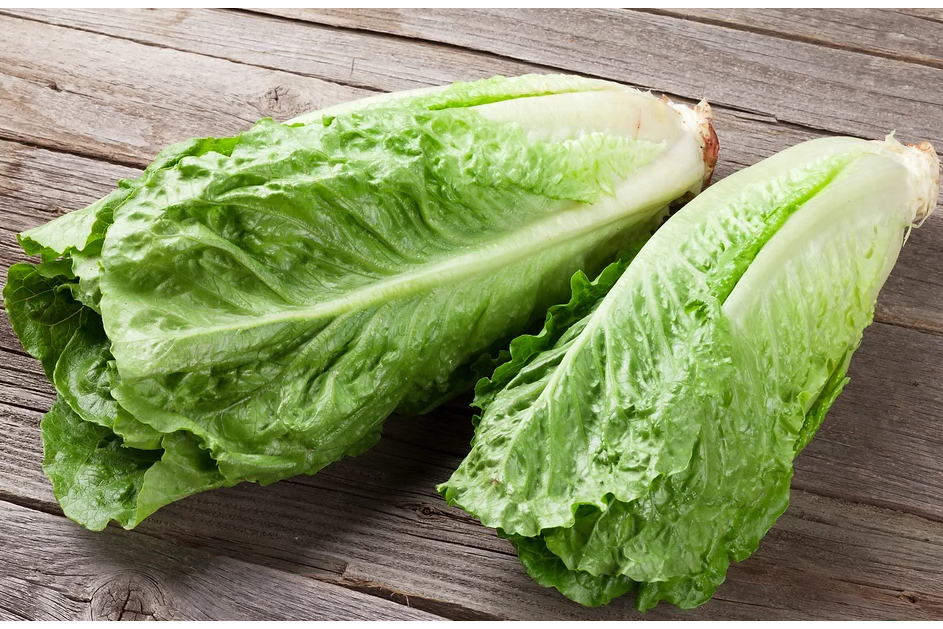 Freeman Organic Herbs - Romaine Lettuce, 4.5"