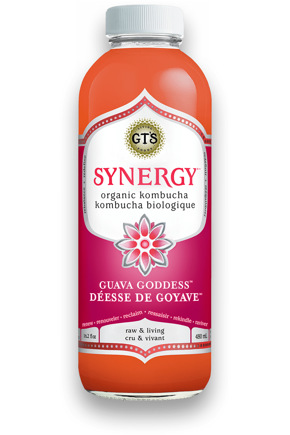 GT's Organic - Guava Goddess Kombucha Drink, 480 mL — Goodness Me!