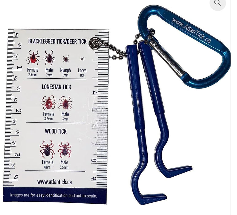 Atlantick - TickPick, Each