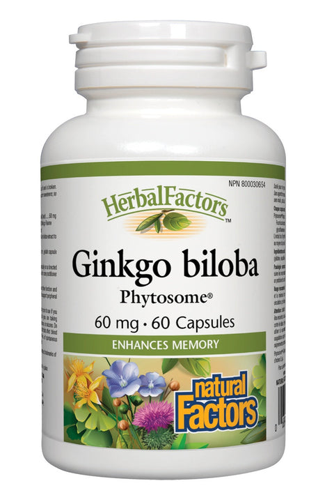 Natural Factors - Ginkgo biloba Phytosome®, 60 capsules