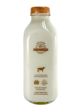 Eby Manor Golden Guernsey - 4.8% Non-Homogenized Guernsey Milk, 1L