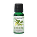 Aromaforce - Ylang Ylang Essential Oil, 15ml