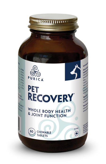 Purica - Pet Recovery - 60 chews