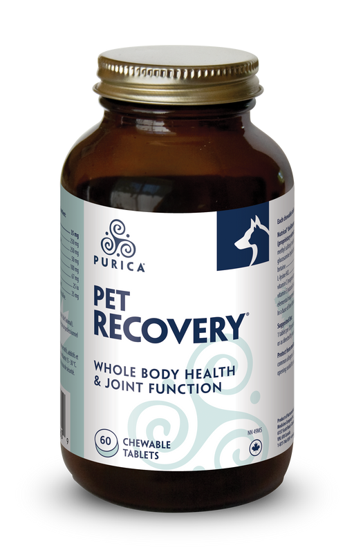 Purica - Pet Recovery - 60 chews
