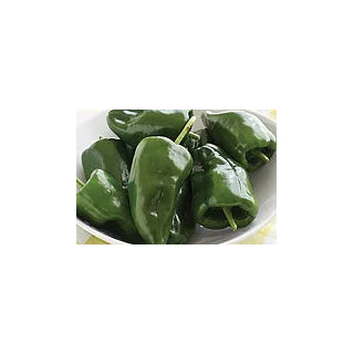 Freeman Herbs - Organic Poblano Pepper 4.5" Plant
