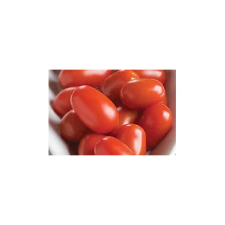 Freeman Herbs - Organic Red Grape Tomato 4.5" Plant