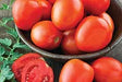 Freeman Herbs - Organic Roma Tomato 4.5" Plant