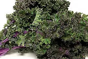 Freeman Herbs - Scarlet Kale 4.5" Organic Plant