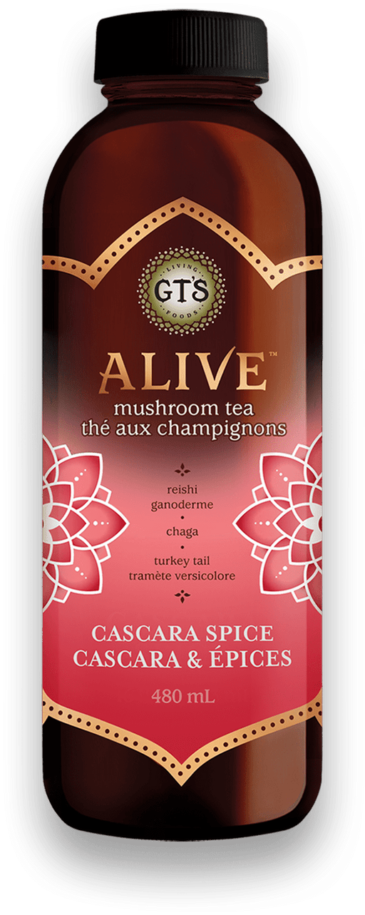 GT's Organic - Alive Mushroom Tea Cascara Spice, 480ml
