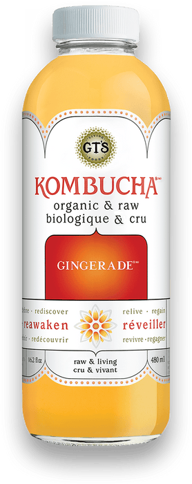 GT's Organic - Gingerade Kombucha Drink, 480ml
