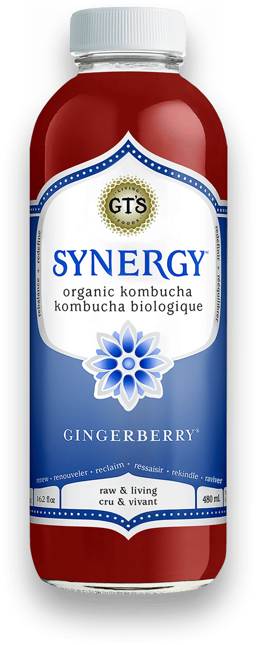 GT's Organic - Gingerberry Kombucha Drink, 480ml