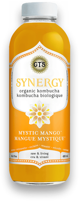 GT's Organic - Mystic Mango Kombucha Drink, 480ml