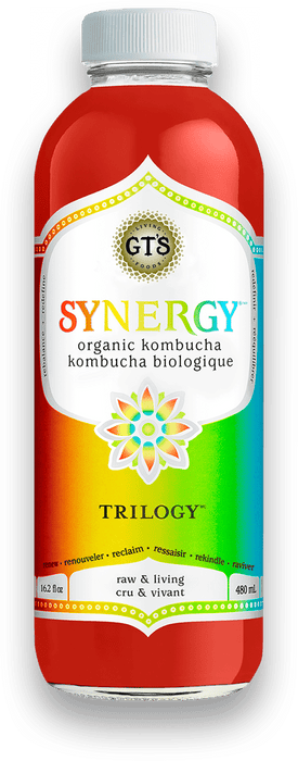 GT's Organic - Trilogy Kombucha Drink, 480ml