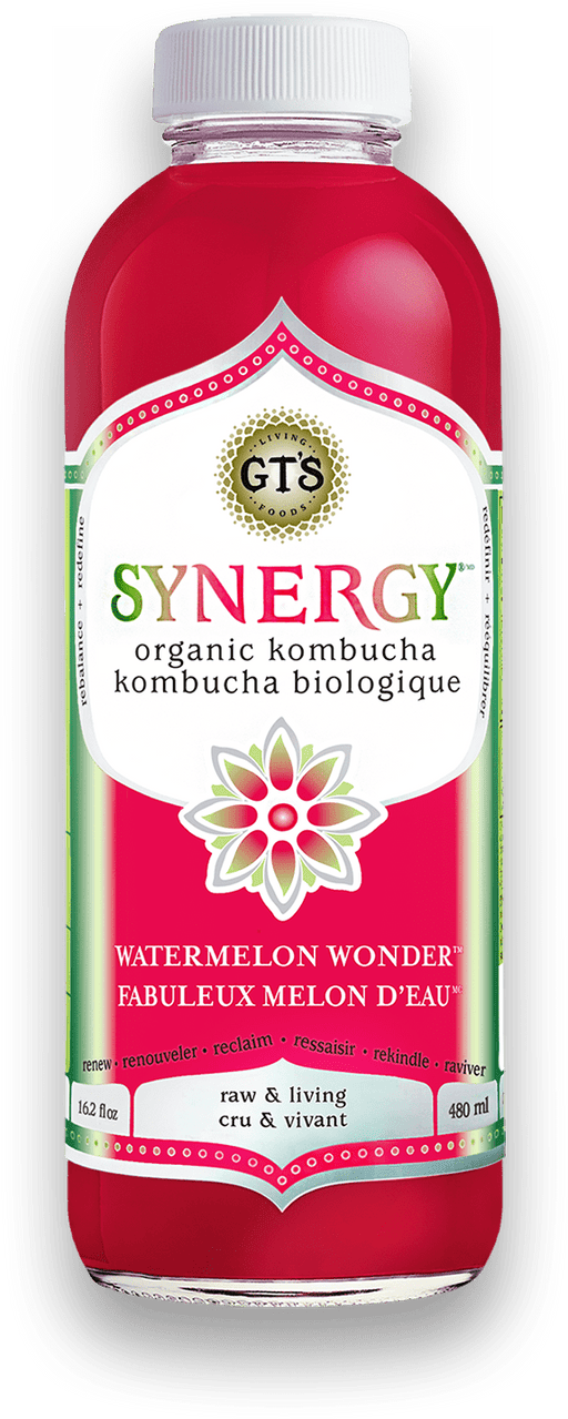GT's Organic - Watermelon Wonder Kombucha Drink, 480ml