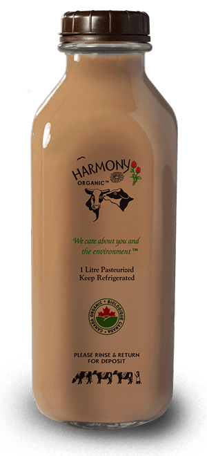 Harmony Organic - Organic 3.8% Chocolate Milk, 1L Glass Bottle