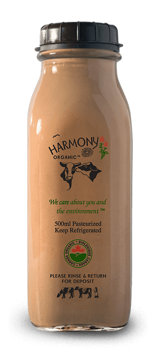 Harmony Organic - Organic 3.8% Chocolate Milk, 500ml Glass Bottle