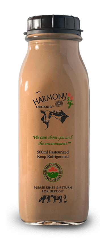 Harmony Organic - Organic 3.8% Chocolate Milk, 500ml Glass Bottle