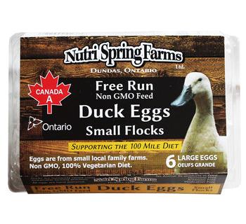 Nutri Spring Farms -Free Run Duck Eggs, 6 Large Eggs