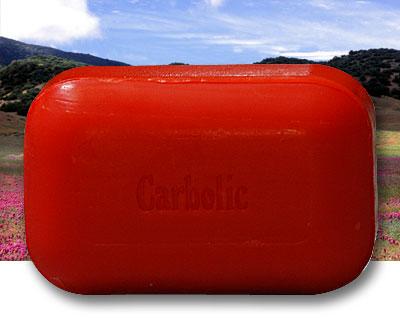 The Soap Works - Carbolic Soap