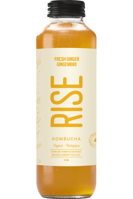 Rise Kombucha - Fresh Ginger White Tea, 414ml