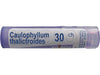 Boiron - Caulophyllum Thalictroides 30CH, 80 pellets
