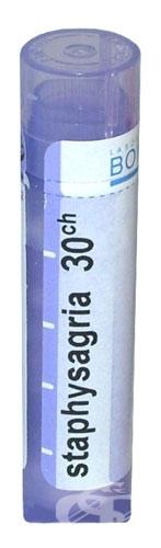 Boiron - Staphysagria 30CH, 80 pellets