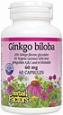 Herbal Factors - Ginkgo Biloba 60mg, 120 capsules