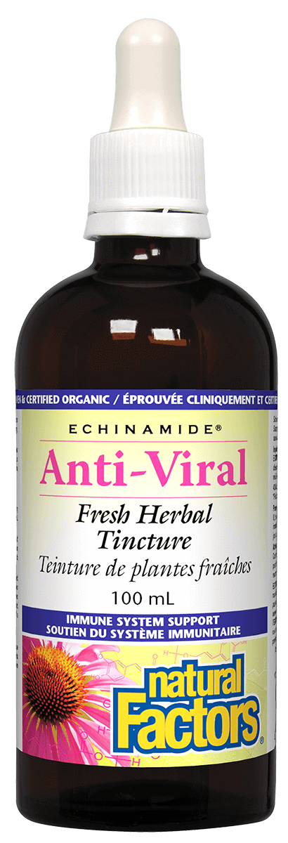 Natural Factors - Echinamide Anti-Viral, 100ml