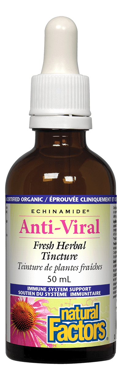Natural Factors - Echinamide Anti-Viral, 50 ml