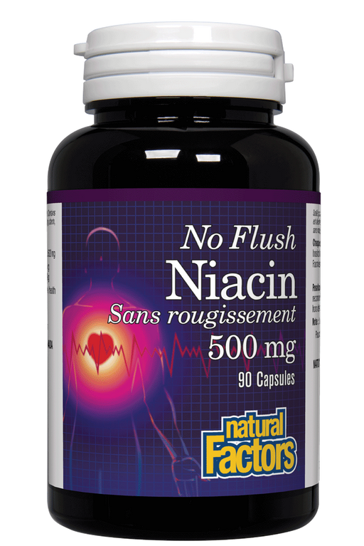 Natural Factors - No Flush Niacin, 90 capsules