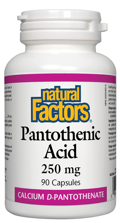Natural Factors - Pantothenic Acid - 250mg, 90 capsules