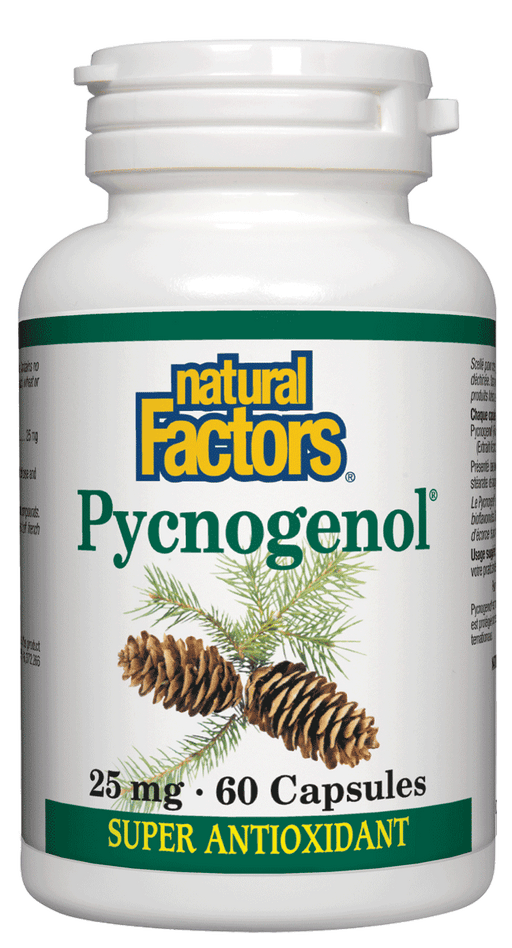 Natural Factors - Pycnogenol, 60 capsules