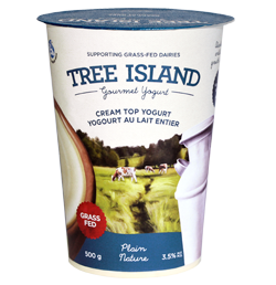 Tree Island - Gourmet Plain Cream Top Yogurt, 500g